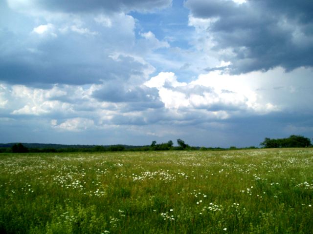 Im Naturpark Fr&auml;nkische Schweiz
