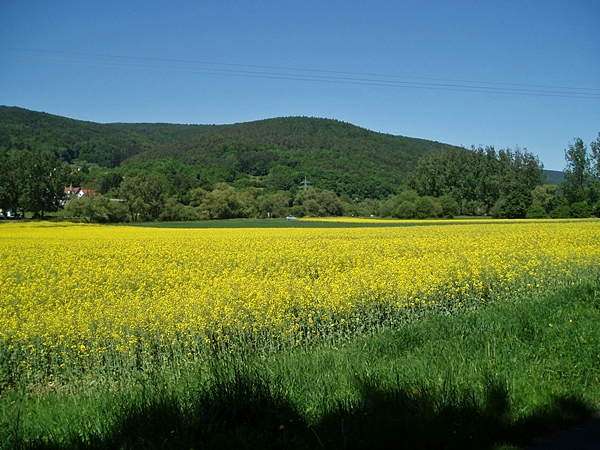 Unterwegs im Werntal