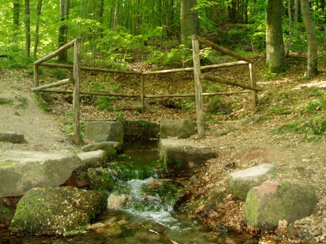 Kahlquelle im Spessart