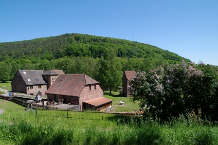 Unterwegs im Naturpark Spessart