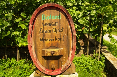 Weingut Erwin Christ - der Pionier als Biowinzer im Fr&auml;nkischen Weinland - liegt direkt an der Strecke