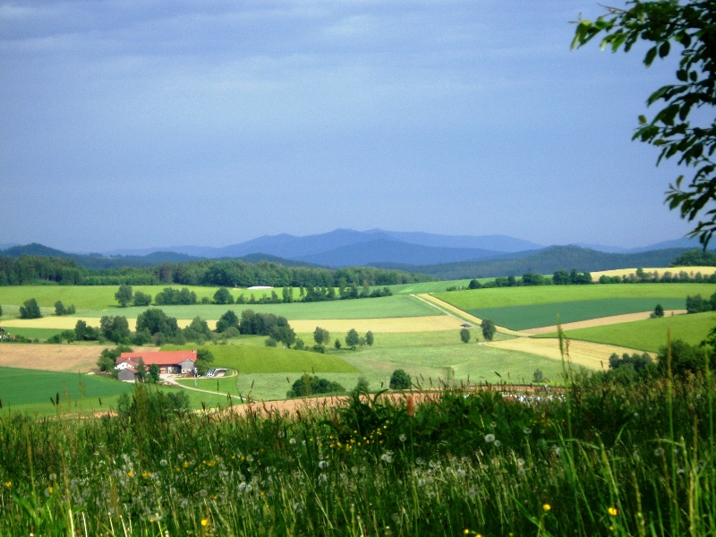 Blick auf Bayerischer Wald kurz vor Cham