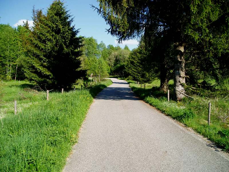 Traumstra&szlig;e ohne Autoverkehr - hier zwischen Tusset und Haidm&uuml;hle im &Scaron;umava Nationalpark