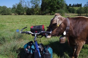 IMGP8602 Diese "brünette Allgäuerin" mag Radlfahrer