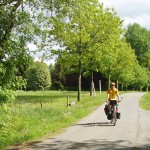 Grünes Dach Radweg