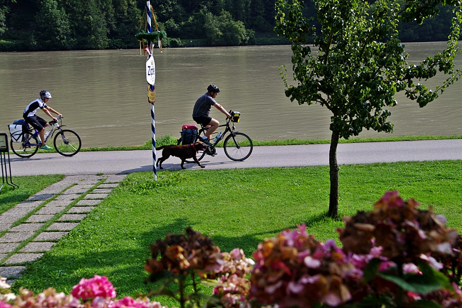 Radtouren mit Hund gut geplant mit BayernRadtour