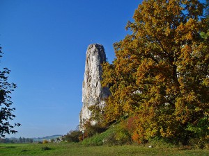 Tauber Altmühl Radweg :: günstig mit Bayern Radtour