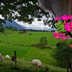 Sternradtouren Bad Tölz :: günstig mit Bayern Radtour