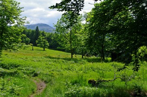 Sterntour Bayerwald1