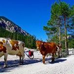 Von der Kaiserburg ins Karwendel :: Neue Radtour in Bayern