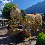 Sternradtouren Hohe Tauern :: günstig mit Bayern Radtour