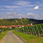 Würzburger Mainrunde :: Kurzurlaub mit dem Fahrrad