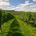 Main Radweg Kurzurlaub :: günstig mit Bayern Radtour