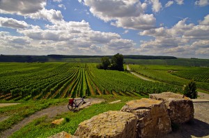 Main-Radweg Fichtelgebirge Würzburg :: mit Bayern Radtour