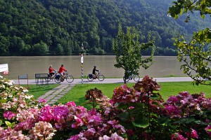 Donau Radweg Passau Wien :: günstig mit Bayern Radtour