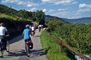 Donau Radweg Regensburg Wien :: mit Bayern-Radtour