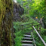 von München nach Passau :: günstig mit Bayern Radtour