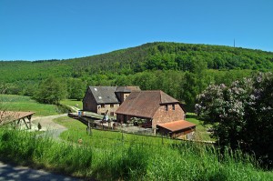 Main Spessart Radtour :: Kurzurlaub mit dem Fahrrad