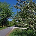 Main Spessart Radtour :: Kurzurlaub mit dem Fahrrad