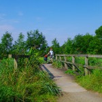 Weser Radweg bis Cuxhaven :: individuell und günstig