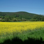 Radtour in Bayern