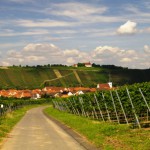 Mainradweg in Bayern