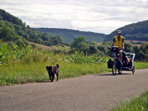 Radtouren mit Hund